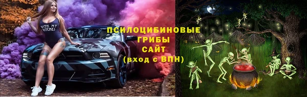 бошки Алзамай