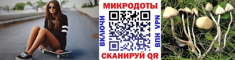 Галлюциногенные грибы MAGIC MUSHROOMS  магазин продажи   Шлиссельбург 